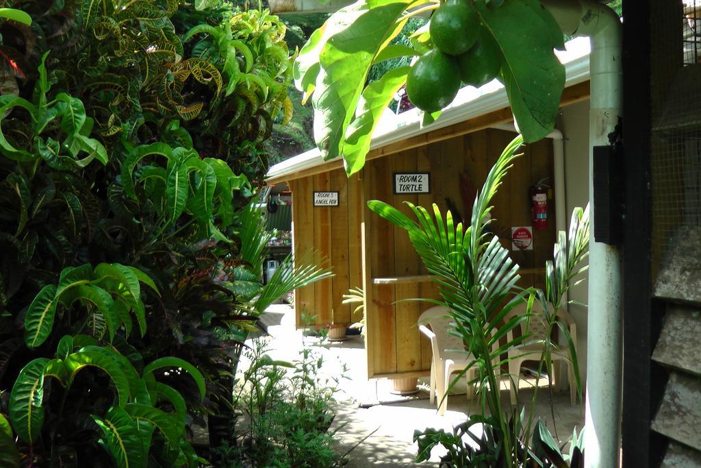 Gecko Lodge Fiji Савусаву Экстерьер фото